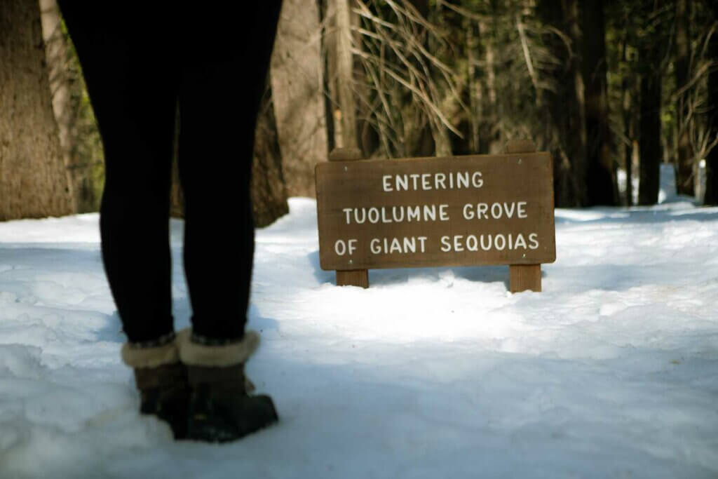 entering Tuolumne Grove of Giant Sequoias sign in Yosemite National Park