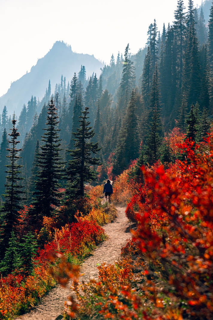 fall foliage along the Sheep Lake trail at Mount Rainier National Park in Yakima Valley Washington