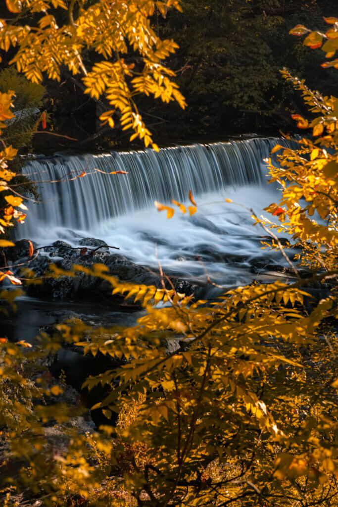 fall-foliage-and-waterfall-in-Madam-Brett-Park-in-Beacon-New-York