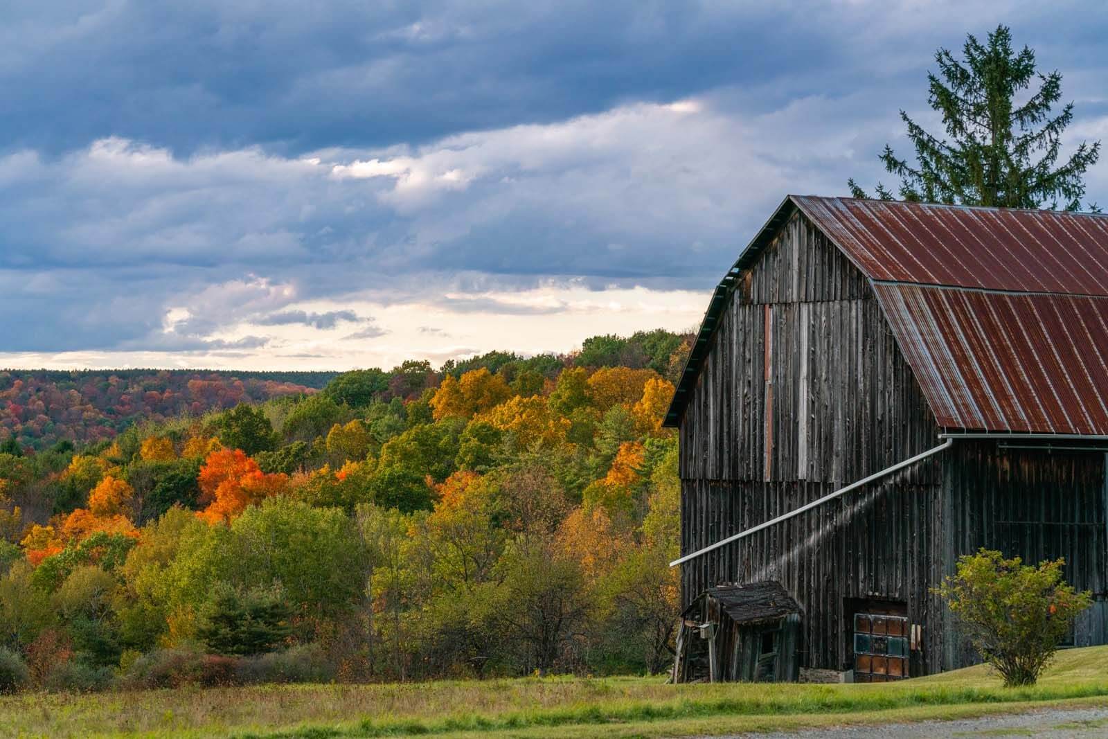 Upstate New York Old Farm Building with Background of Tall Trees