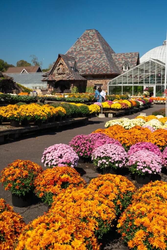 fall shopping at Ott's Exotic Plants in Montgomery County Pennsylvania