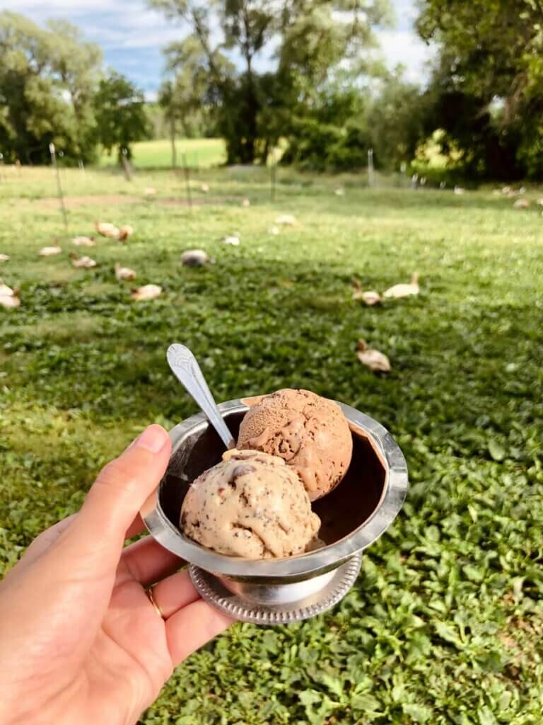 frozen-custard-from-Spotted-Duck-Creamery-in-the-Finger-Lakes-New-York