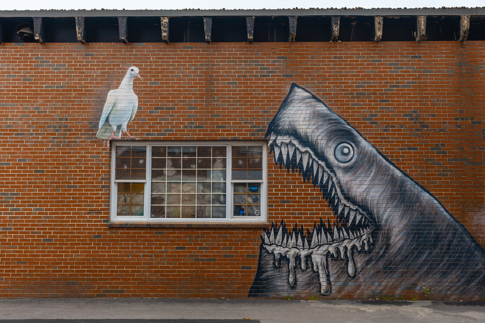 funny shark mural in Portsmouth New Hampshire