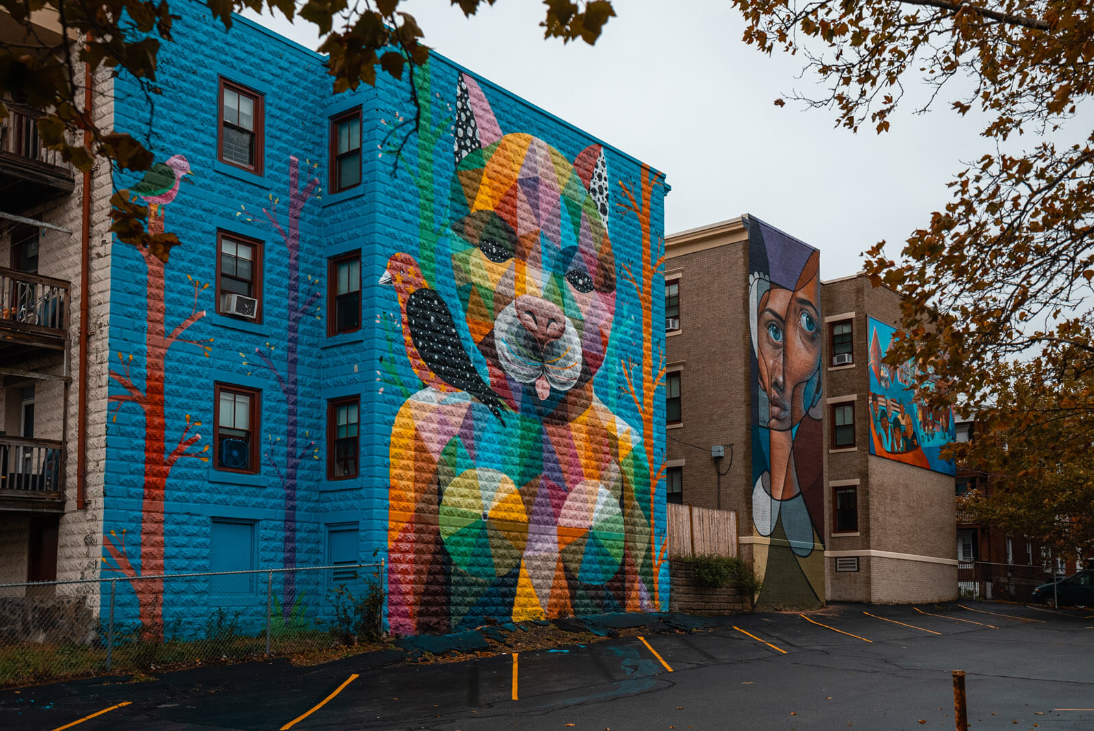 giant colorful murals in Salem Massachusetts