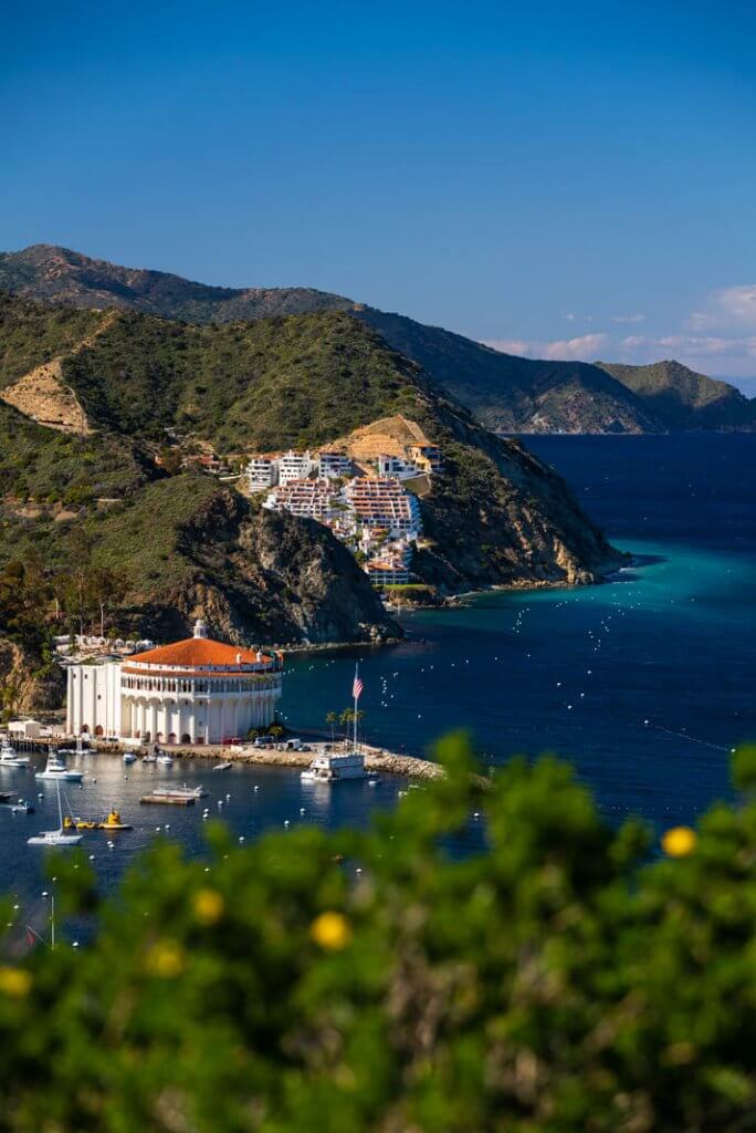 gorgeous view of the Casino from a viewpoint on Catalina Island in California