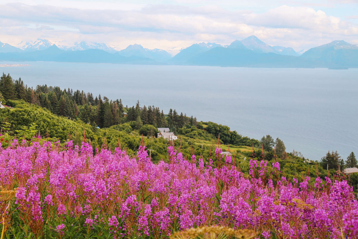 gorgeous-view-of-the-mountains-from-Homer-Alaska