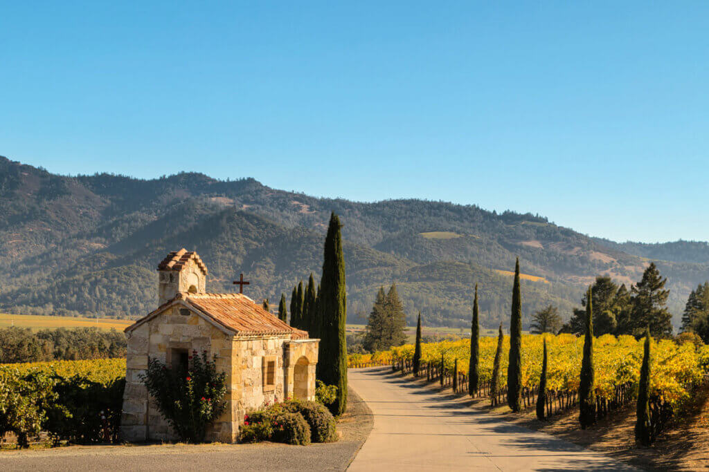 gorgeous-vineyard-view-in-Napa-Valley-in-Northern-California