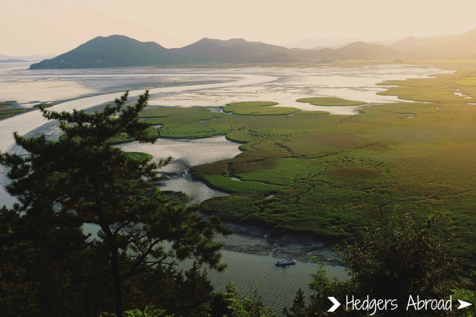 Suncheon Bay at Sunset | best things to do in korea