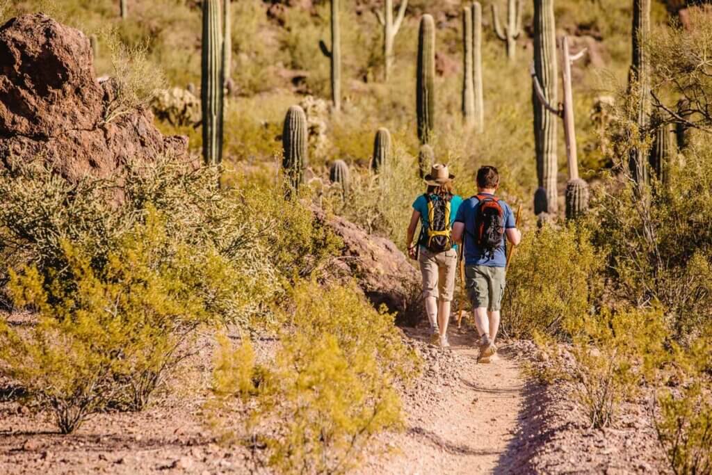 hike-through-sonoran-desert-in-Arizona
