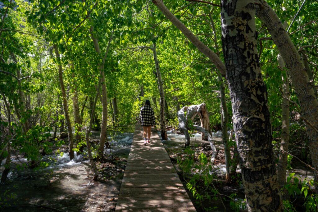 hiking along the boardwalk trail at Convict Lake in Mammoth Lakes California