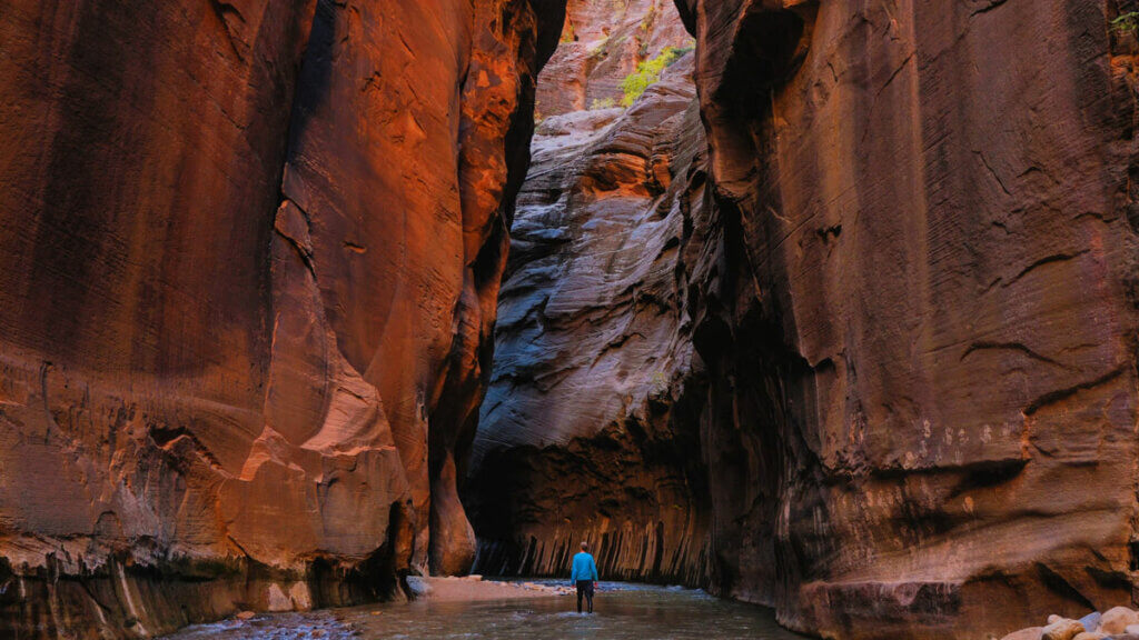 hiking-the-Narrows-in-Zion-National-Park