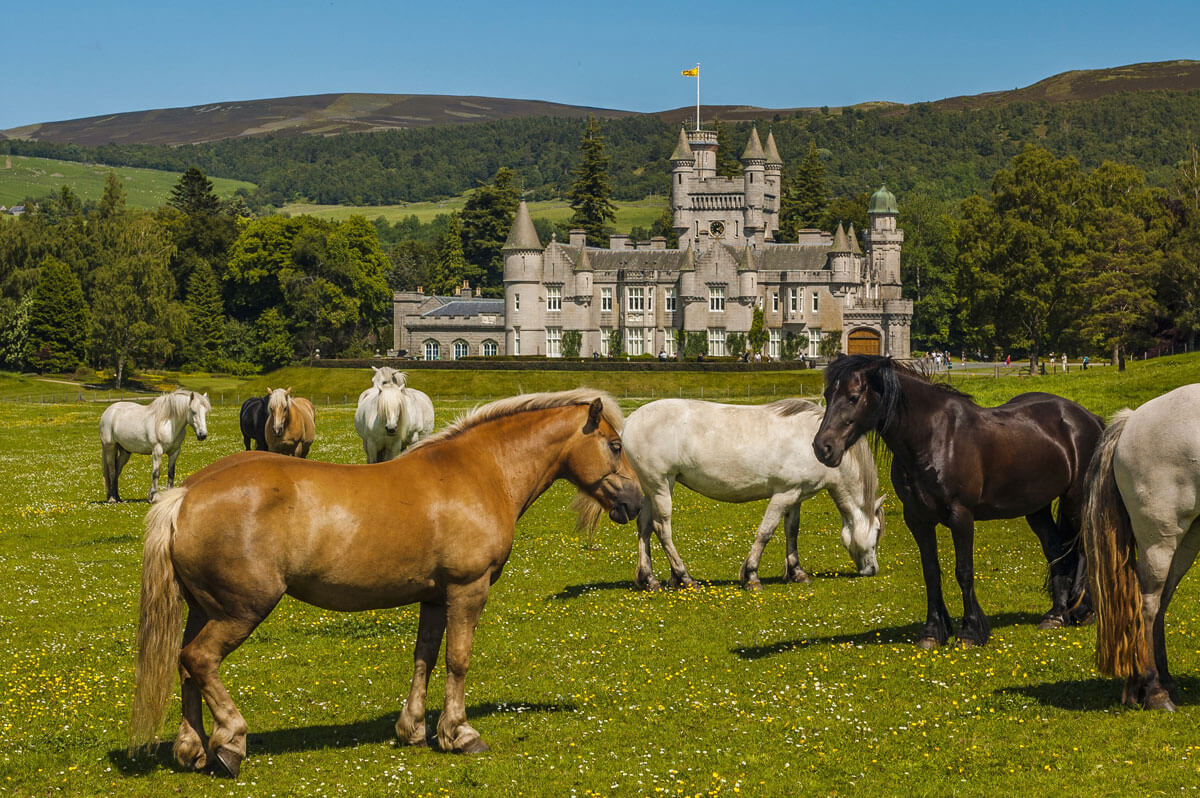 horses-outside-Balmoral-Castle-in-the-Scottish-Highlands-the-royal-residence-in-aberdeenshire
