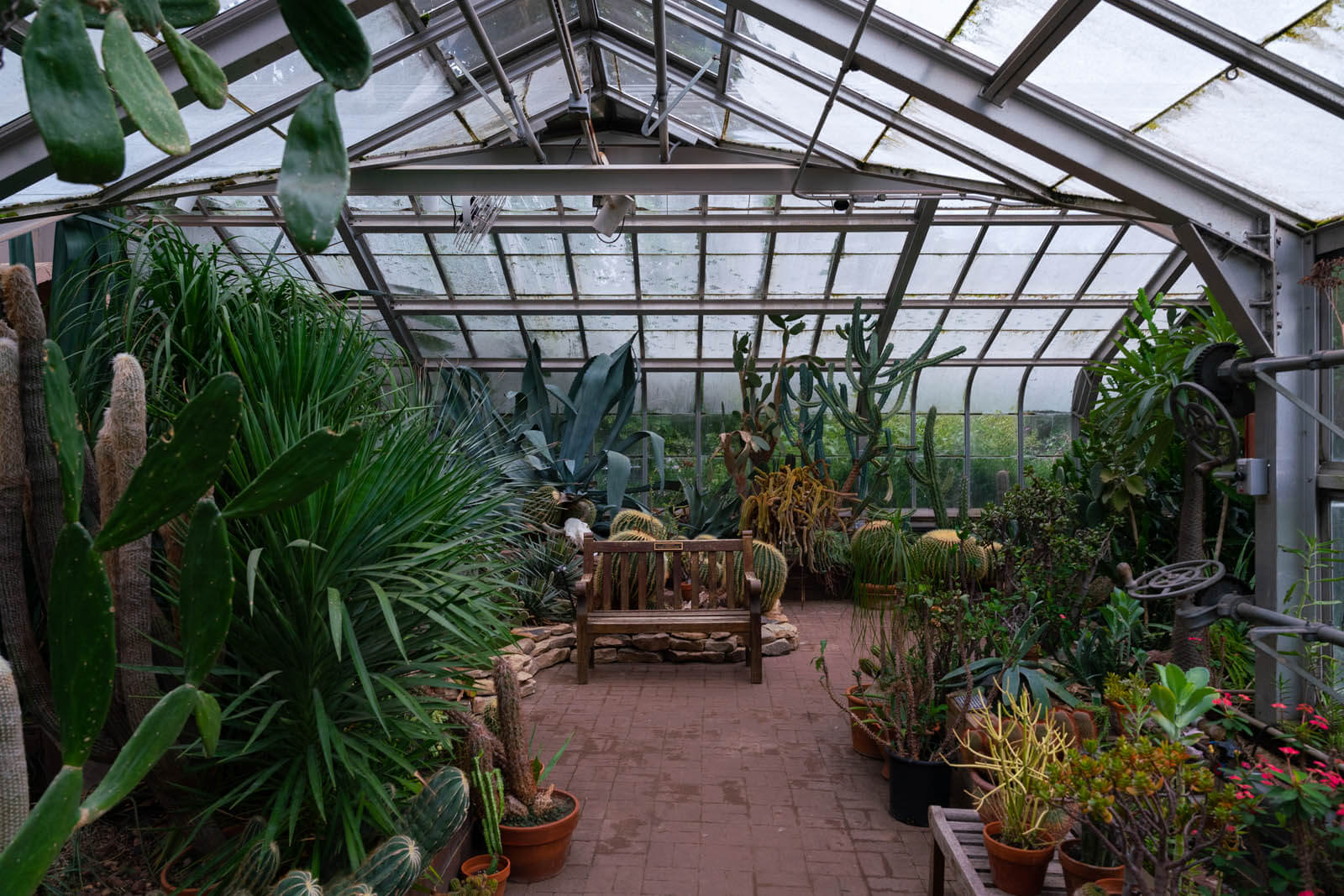 inside Lamberton Conservatory at Highland Park in Rochester New York
