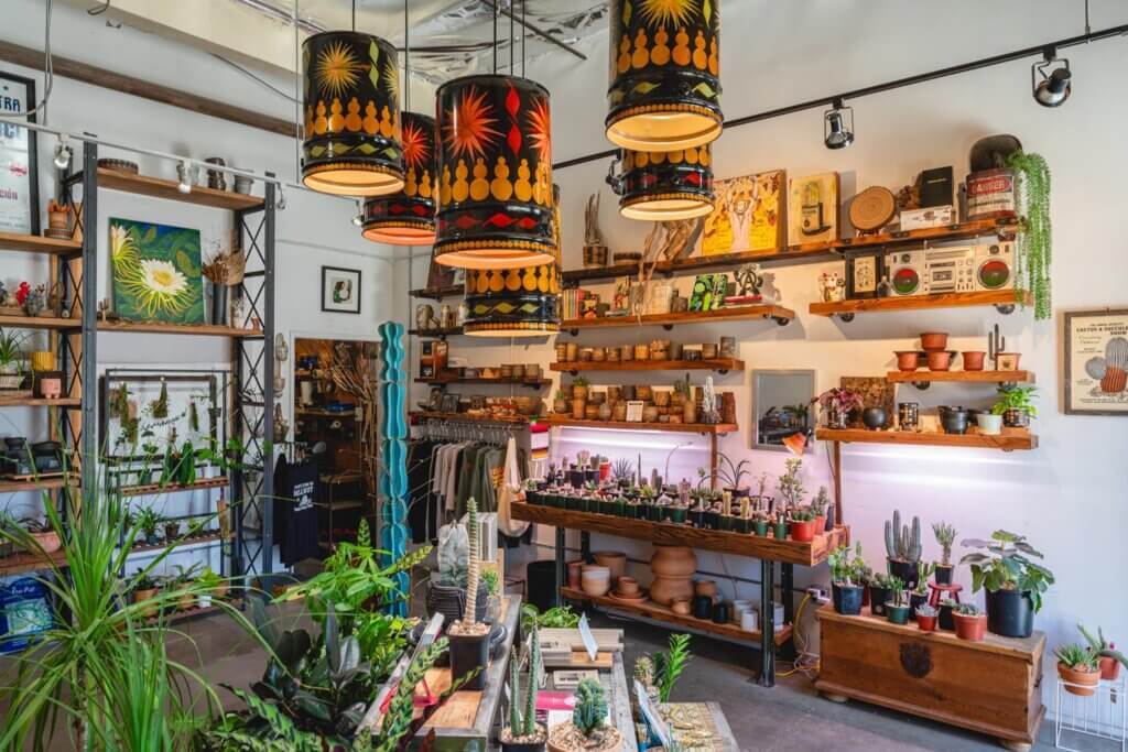 inside the Mellowist plant shop in Costa Mesa California