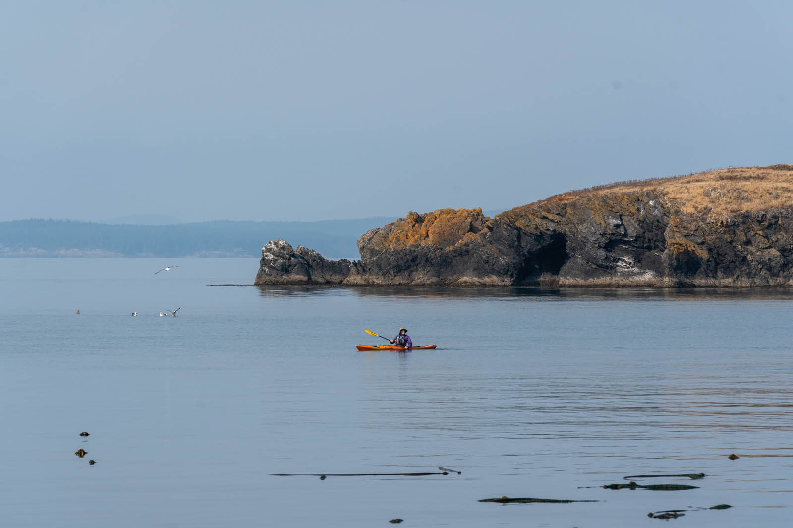 kayaker at Anacortes in Washington