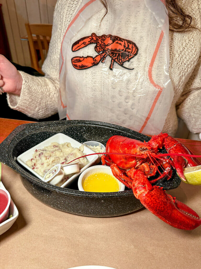 lobster-from-Captain-Kat's-Lobster-Shack-in-Barrington-Nova-Scotia