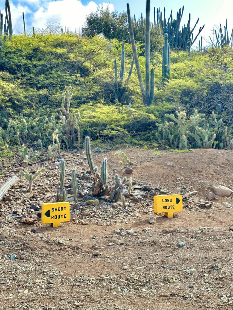 long-route-and-short-route-signs-in-Washington-Slagbaai-National-Park-in-Bonaire