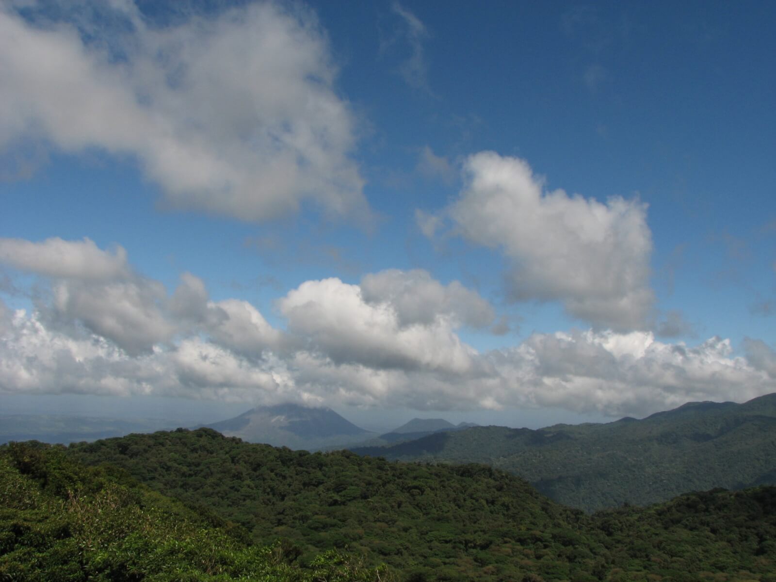 Monteverde Reserve View