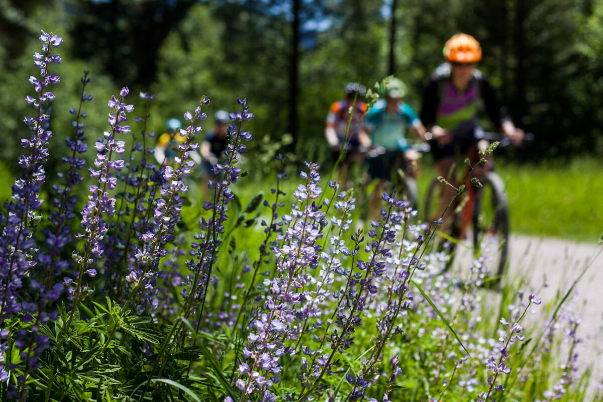 mountain-biking-near-Missoula-at-Rattlesnake-Mountain-Recreation-Area-in-Montana