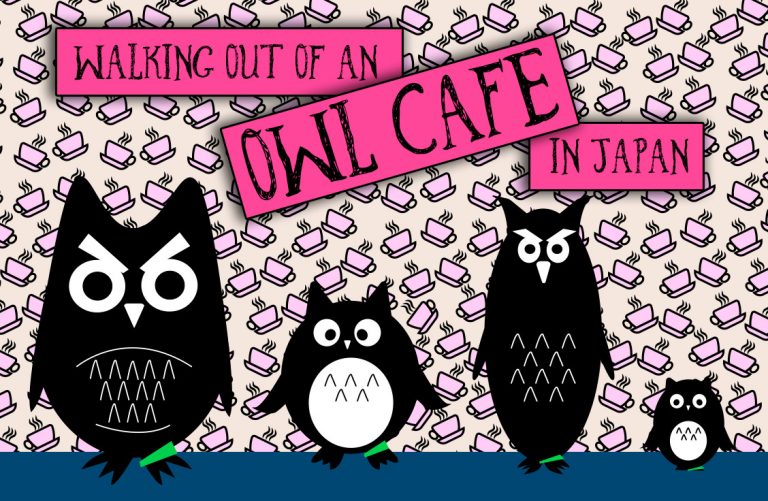 Owl Cafe in Japan