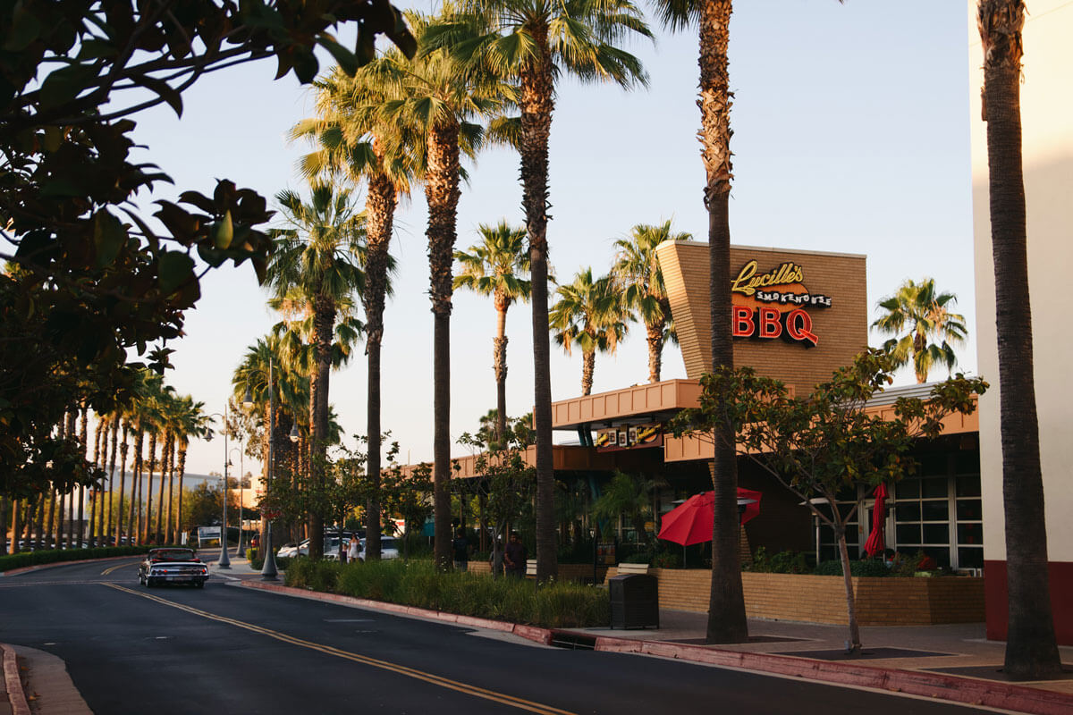 palm-trees-lining-Lucilles-BBQ-in-Temecula-California-by-Katie-Hinkle