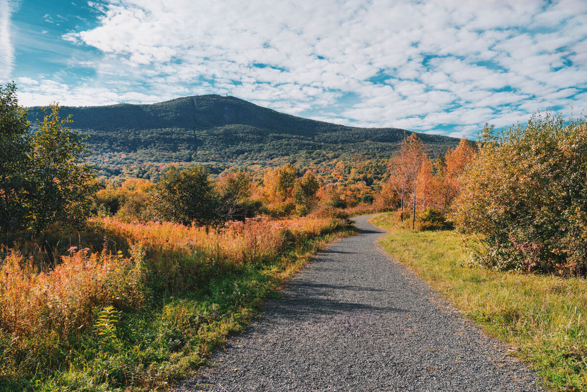 pathway-leading-to-Mount-Greylock-in-the-Berkshires-in-the-fall