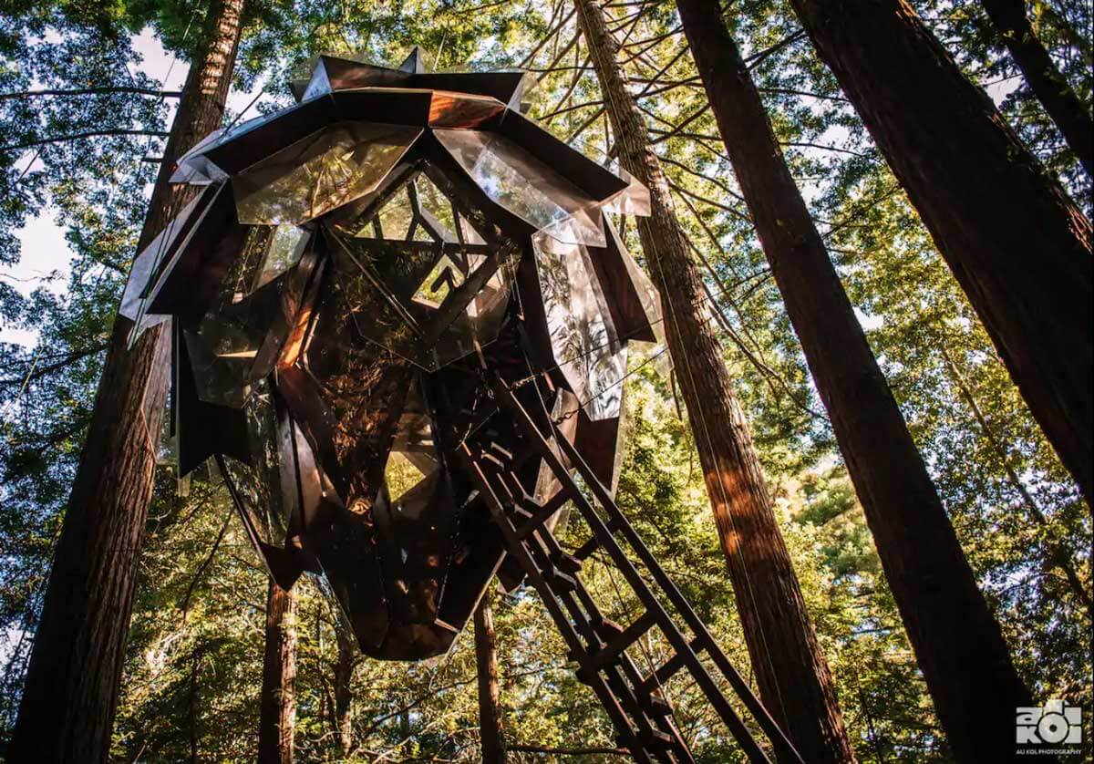 pinecone-tree-house-one-of-the-most-unique-getaways-in-California