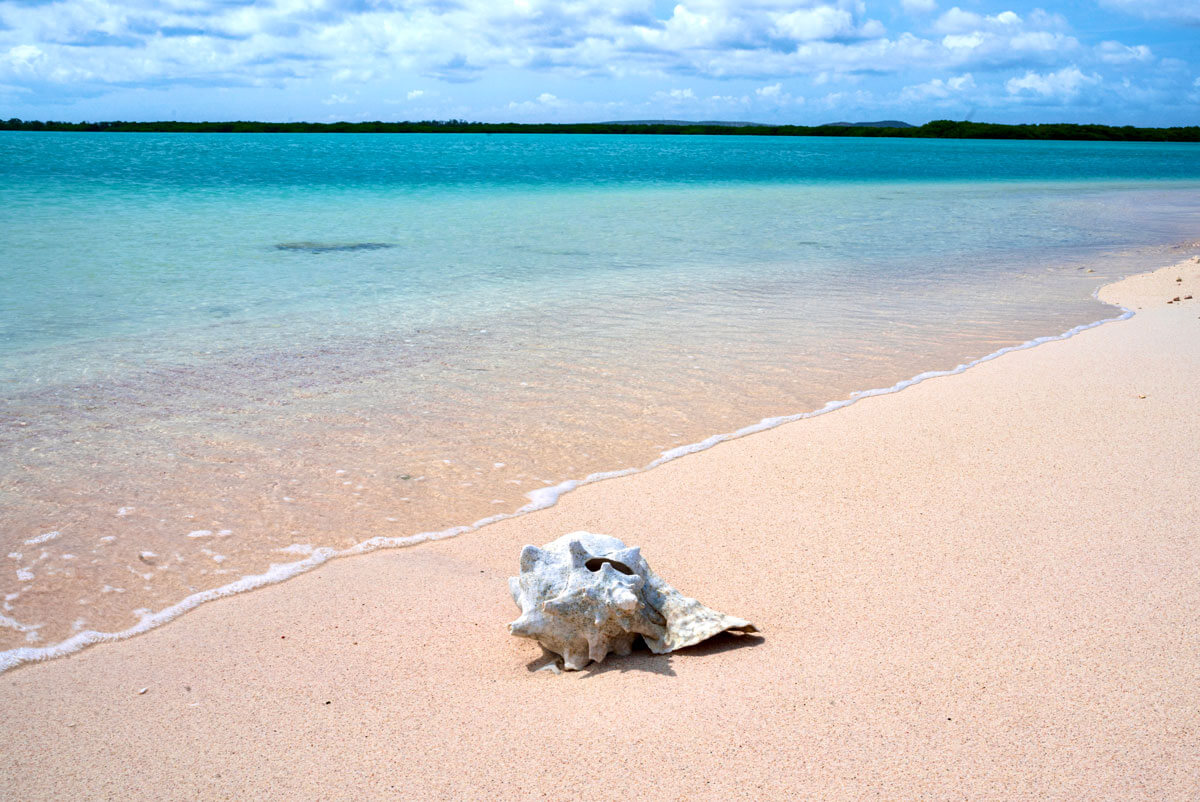 10 BREATHTAKING & Best Bonaire Beaches to Check Out