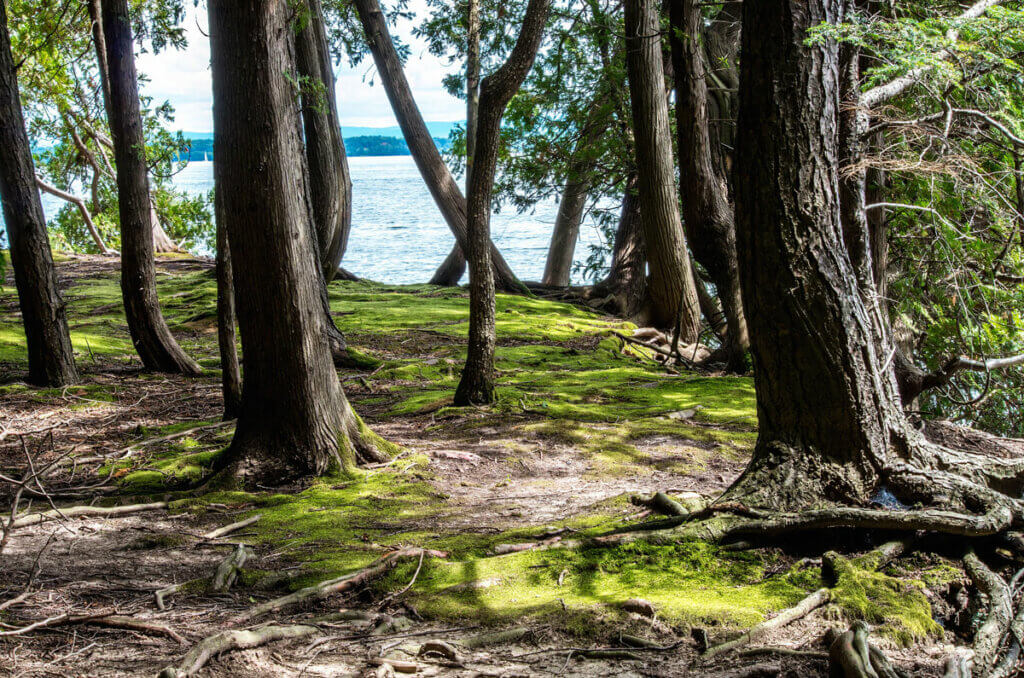 pretty-view-of-Point-Au-Roche-State-Park-in-upstate-new-york