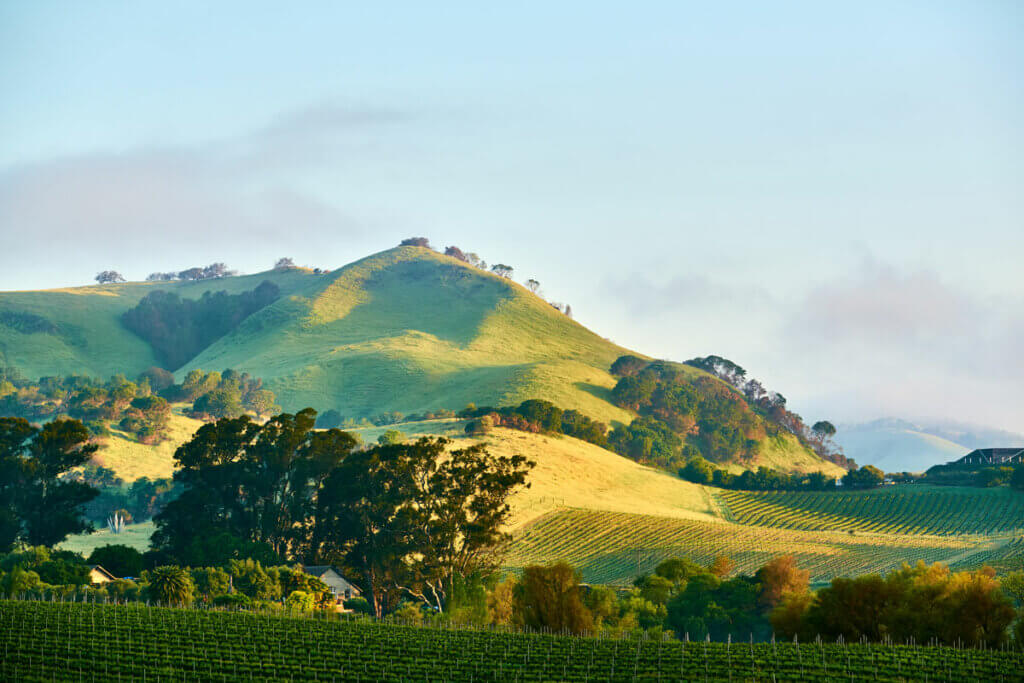 rolling-vineyards-and-view-in-Sonoma-Valley-in-Northern-California