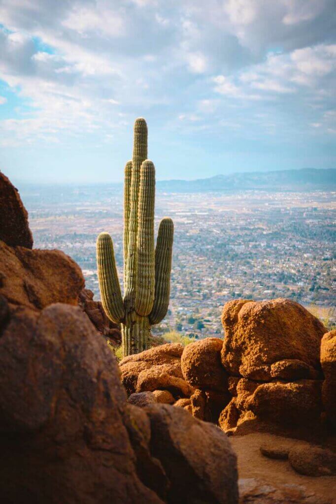 saguaro-cactus-and-view-from-Camelback-Mountain-sunrise-hike-in-Arizona