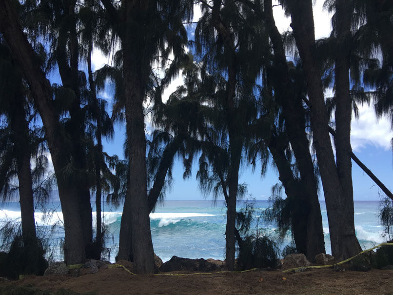 Sharks Cove Oahu