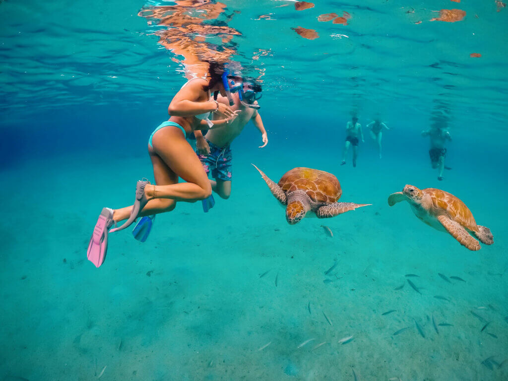 snorkelers-swimming-with-sea-turtles-at-Playa-Piskado-Beach-in-Curacao