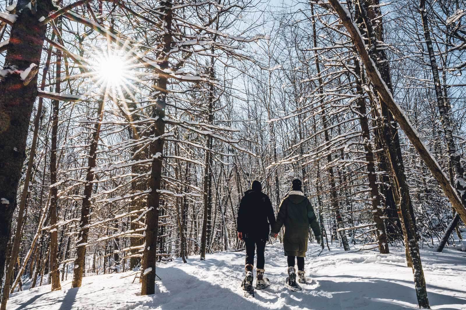 snowshoeing in Montreal Quebec on Mont Royal