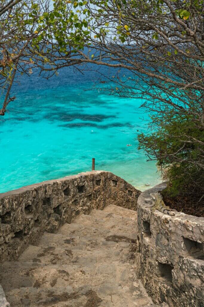 stairway and iguana down to 1000 steps beach in Bonaire