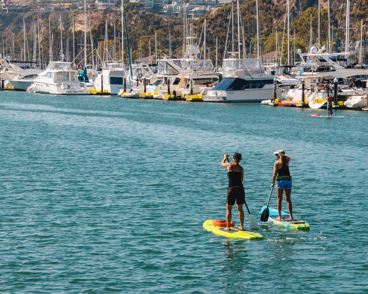 stand-up-paddleboarders-in-Dana-Point-Harbor-in-California