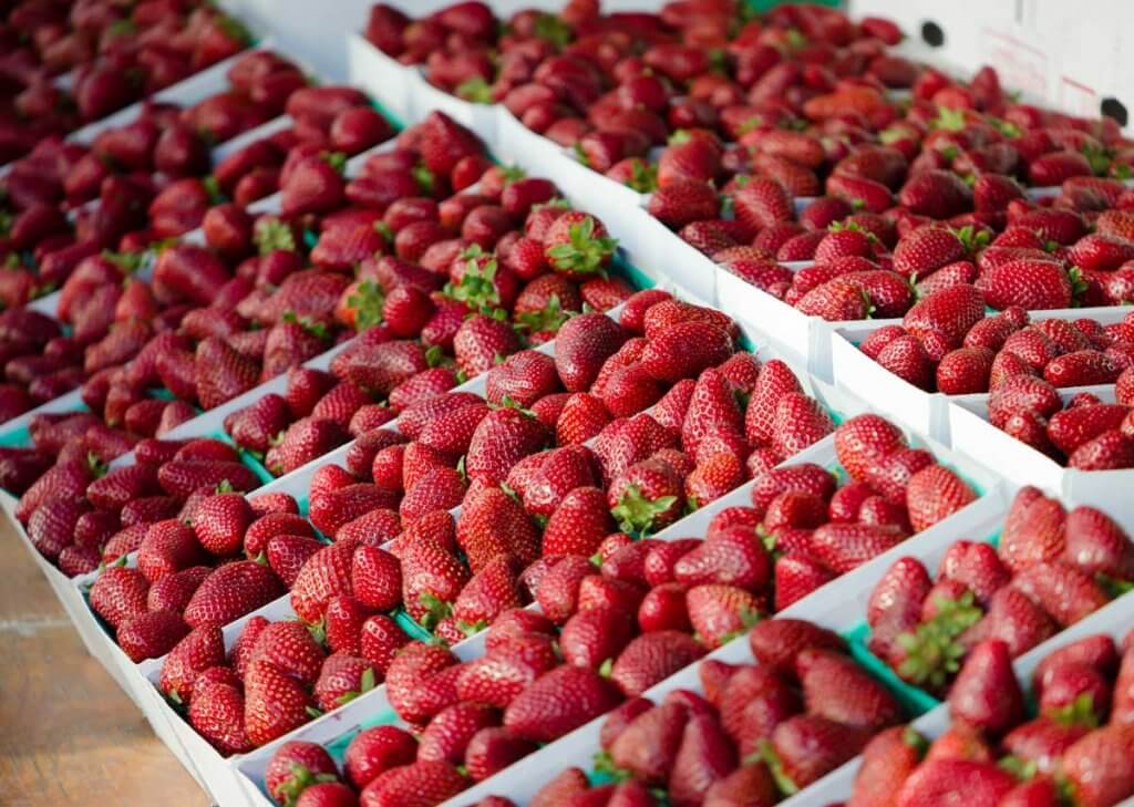 strawberries-for-sale-at-the-Santa-Monica-Farmers-Market-in-Los-Angeles-California