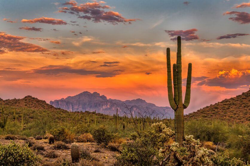 sunset-in-the-Sonoran-Desert-and-Saguaro-cactus-near-Phoenix-Arizona