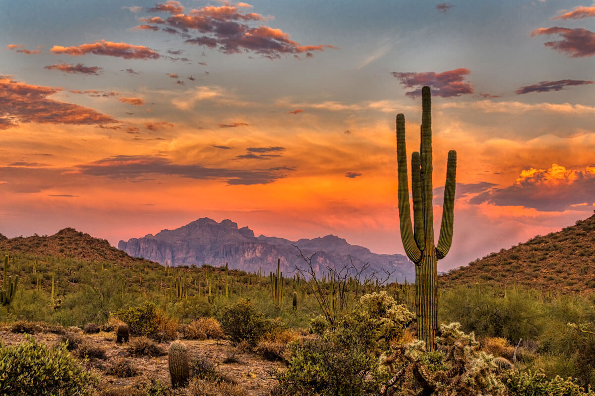 Perfect 3 Days in Phoenix Itinerary
