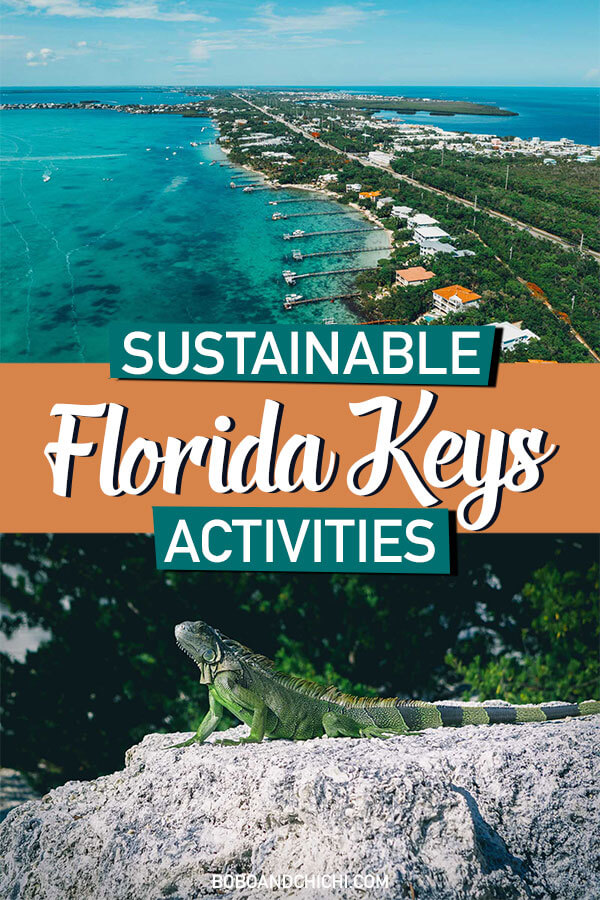 sustainable activities in the Florida Keys
