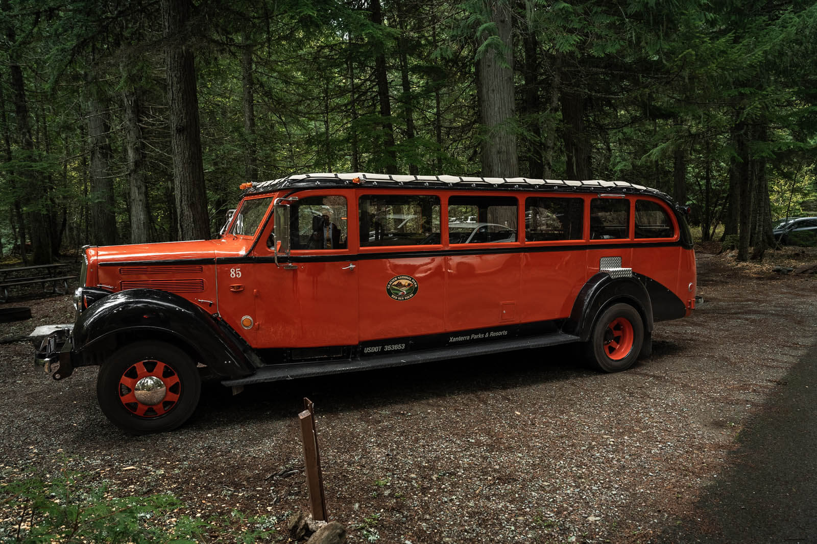 the Red Bus Tours of Glacier National Park in Montana