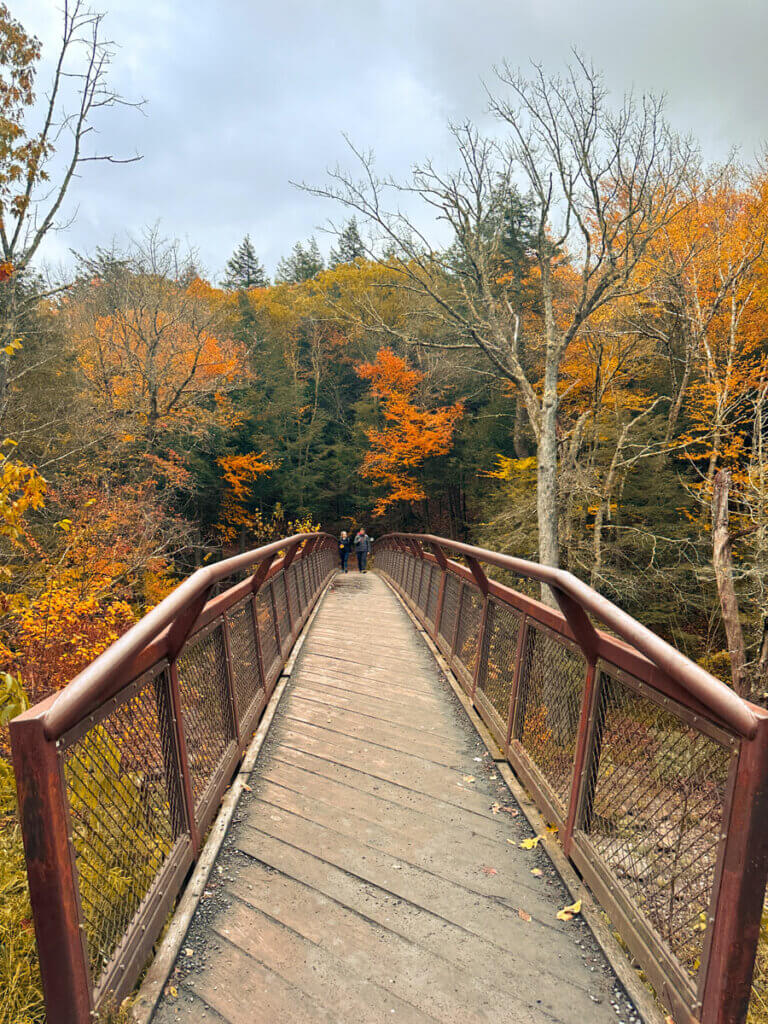 the-bridge-to-cross-on-the-path-to-Kaaterskill-Falls-in-New-Yorks-Catskills-region-in-the-fall