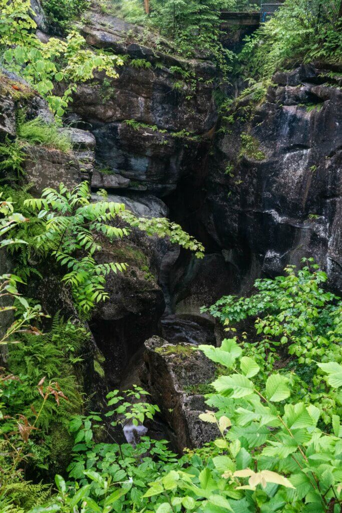 the lush green gorge at Natural Bridge State Park in North Adams Massachusetts in the Berkshires