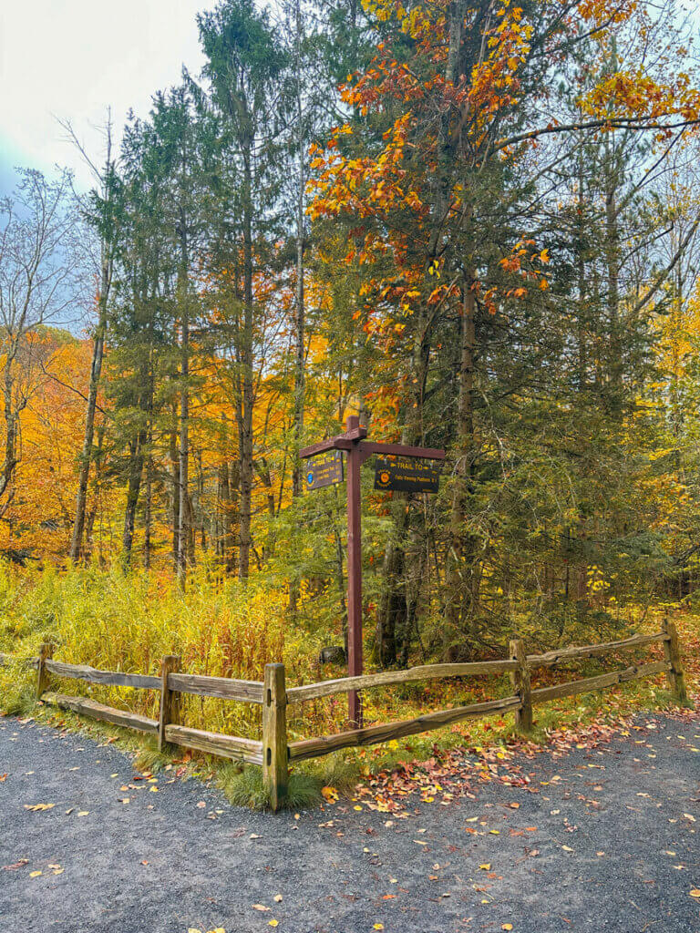 the-trail-and-sign-to-Kaaterskill-Falls-in-New-York-in-the-Catskills-in-fall