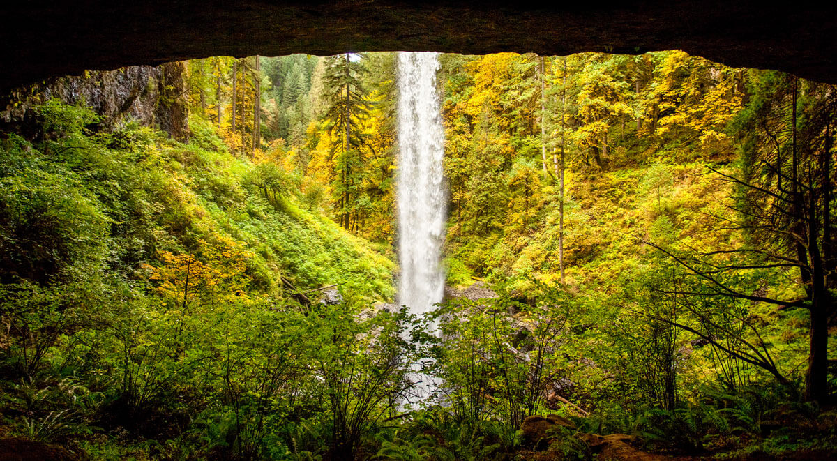 the-view-behind-north-falls-on-the-trail-of-the-10-falls-in-silver-falls-state-park-in-oregon