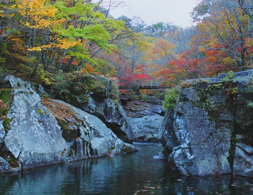 Korea National Parks