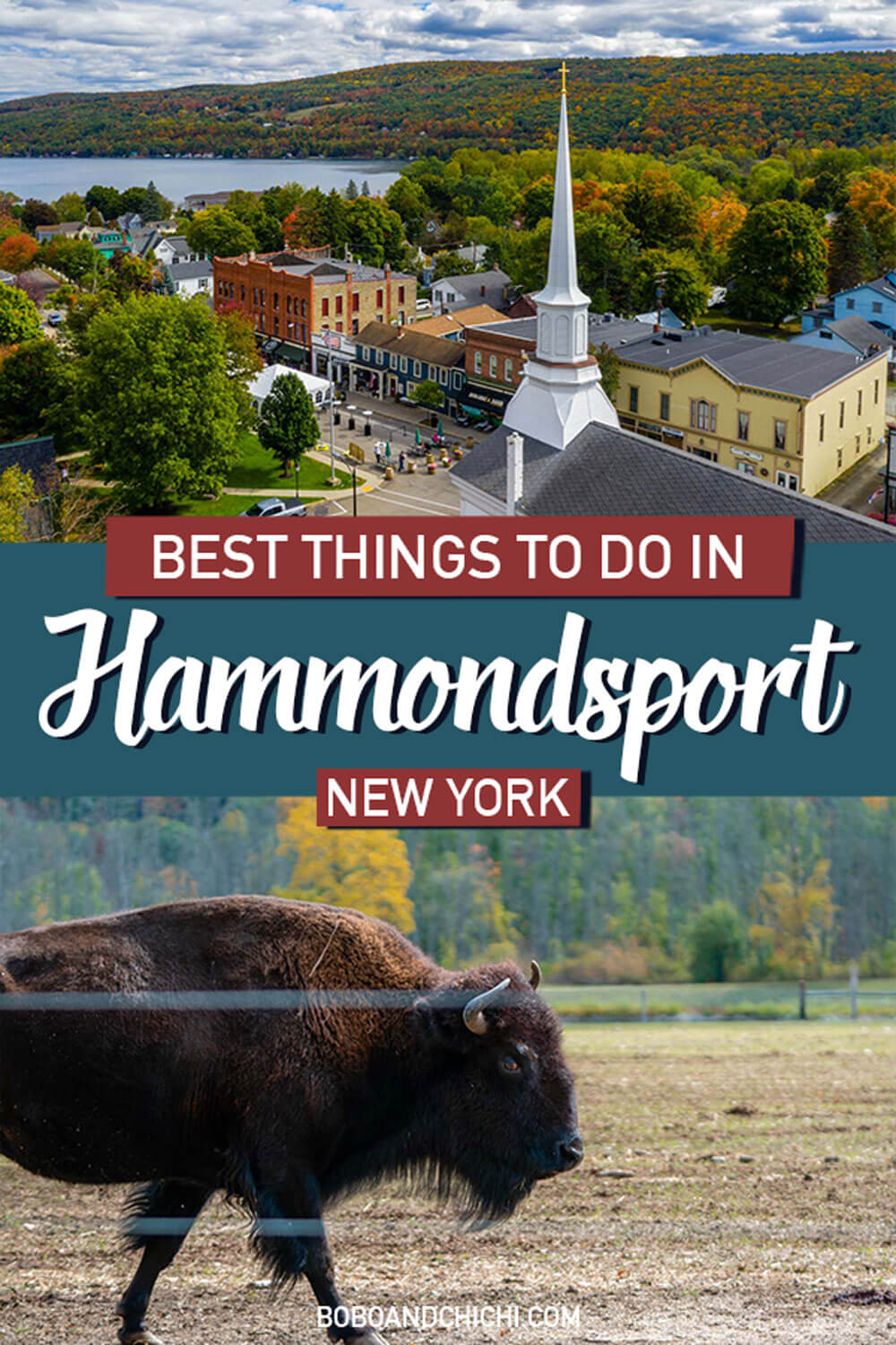 things-to-do-in-hammondsport-new-york