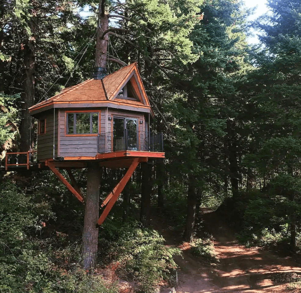 treehouse in columbia river gorge in washington