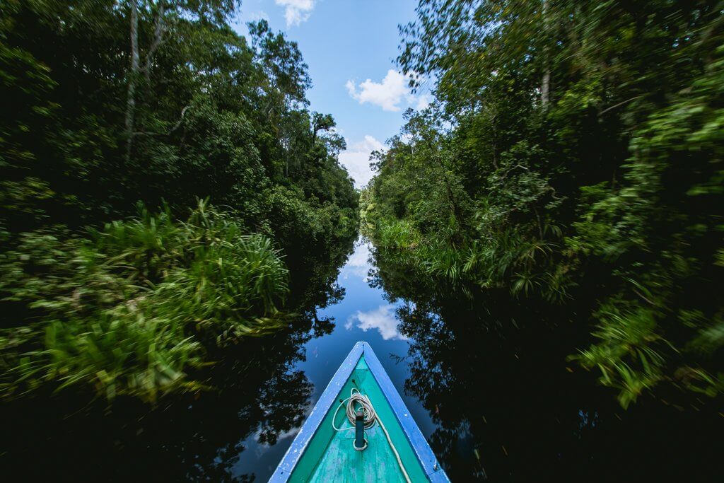 Our klotok boat cruising its way through the 'black river' in Borneo Indonesia