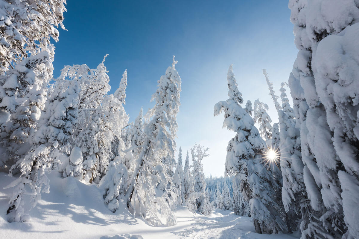 valley-of-phantoms-at-monts-valin-national-park-in-saguenay-lac-saint-jean-quebec